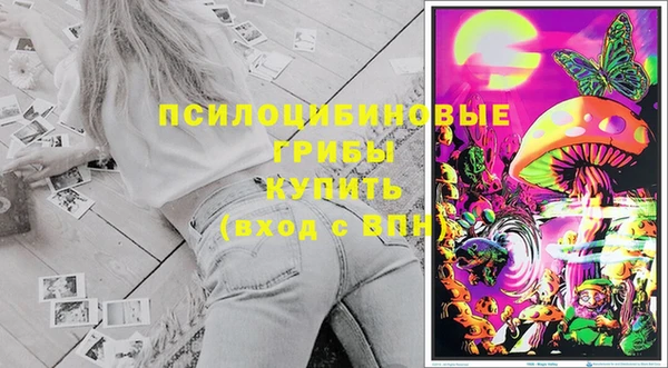 кокс Липки