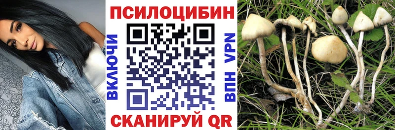 Псилоцибиновые грибы Cubensis  Усть-Катав 